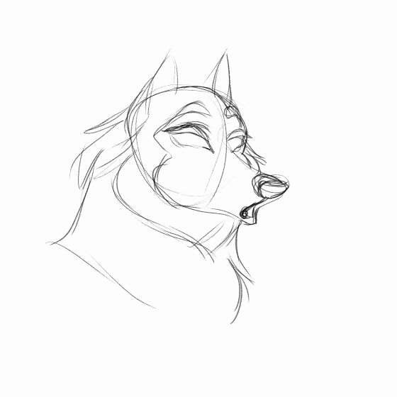Animation WIP