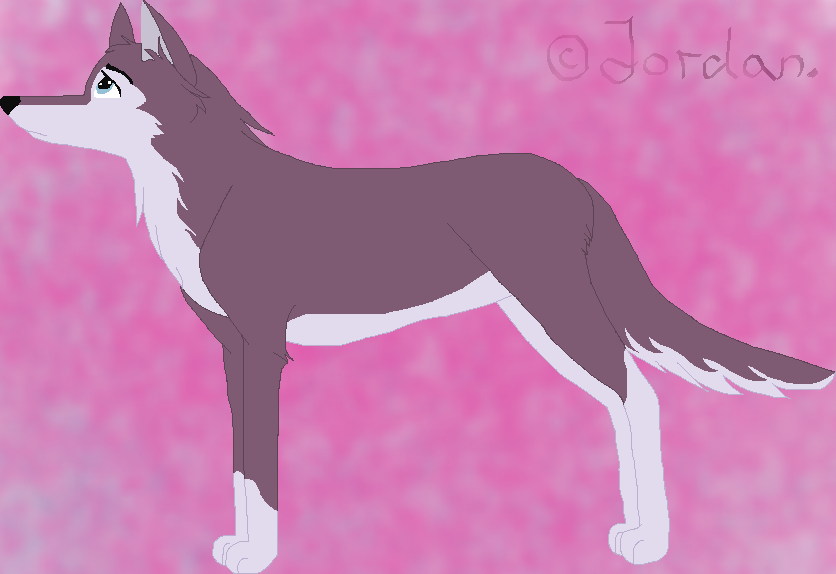 Contest entry