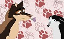 Contest entry
