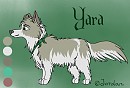 New character - Yara