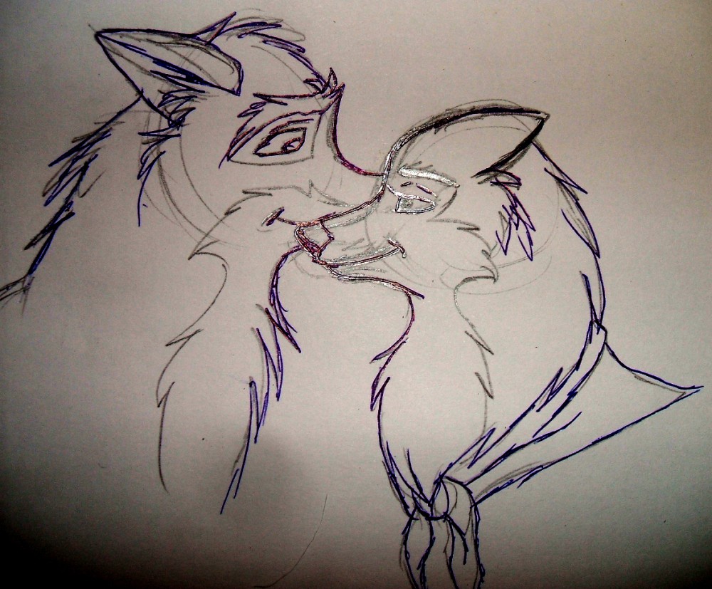 Doggie luvins - sketch