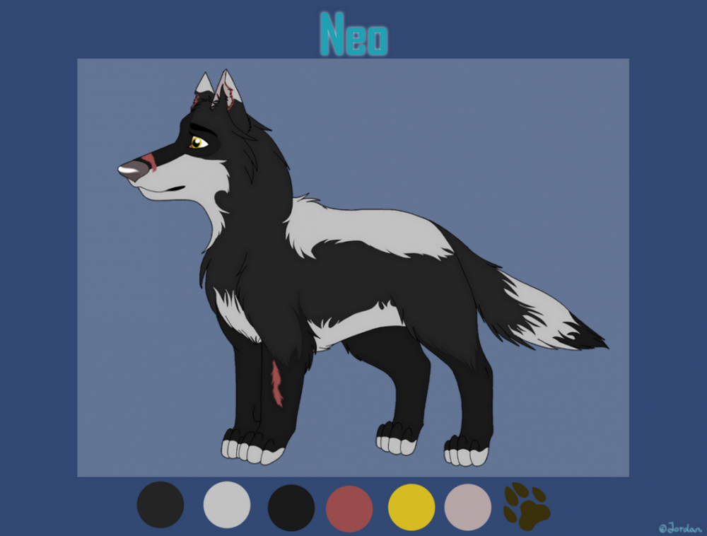 Neo revamp