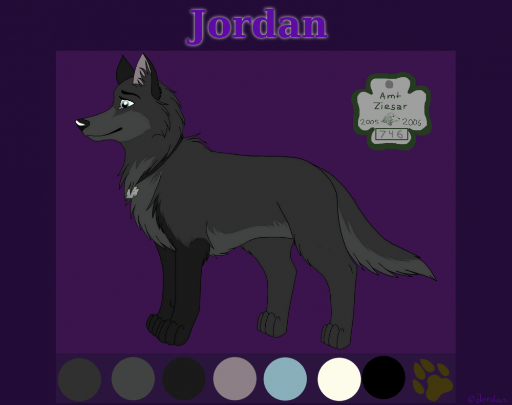 Jordan 2.0