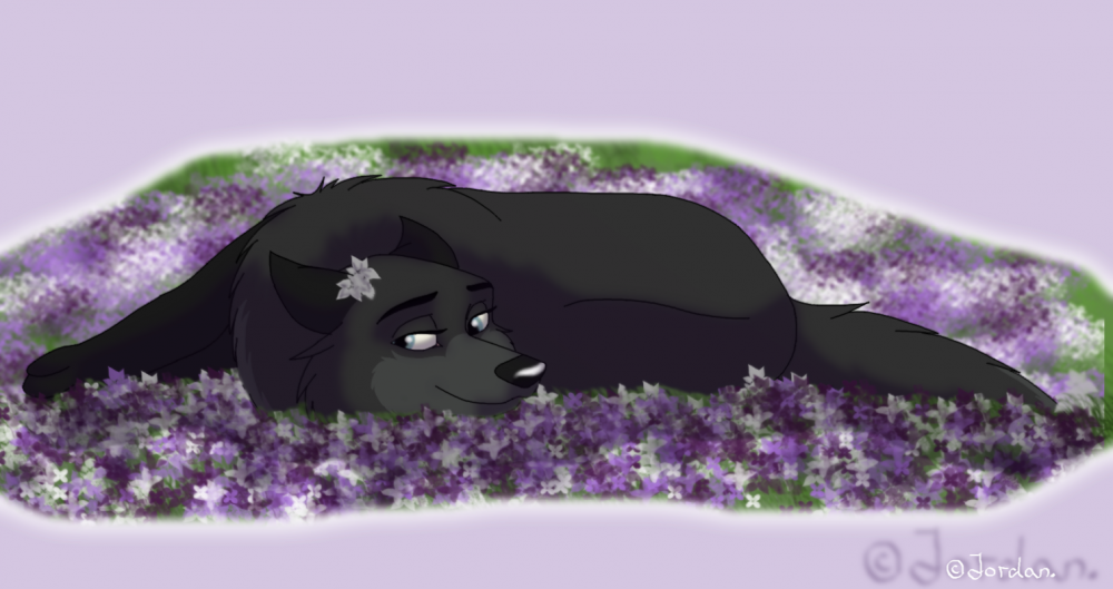 Bed of lilacs