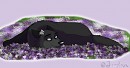 Bed of lilacs