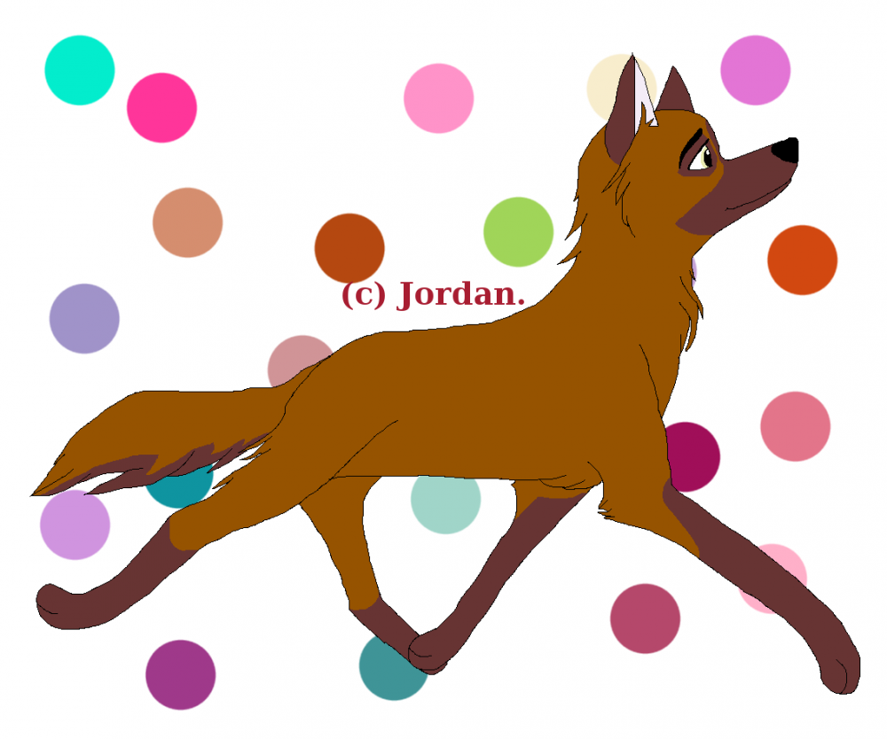 First Lilly drawing