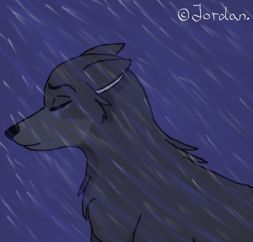 rain