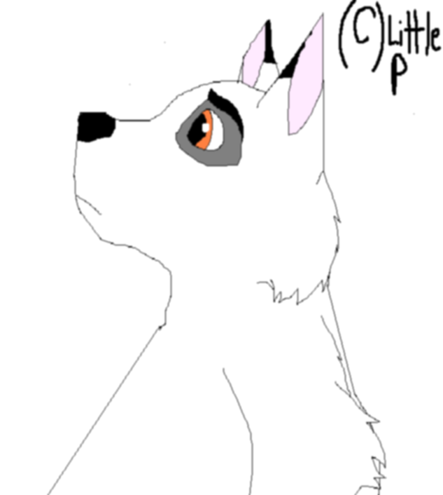 Just the white wolf from first movie