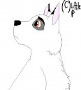 Just the white wolf from first movie