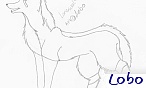 lobo