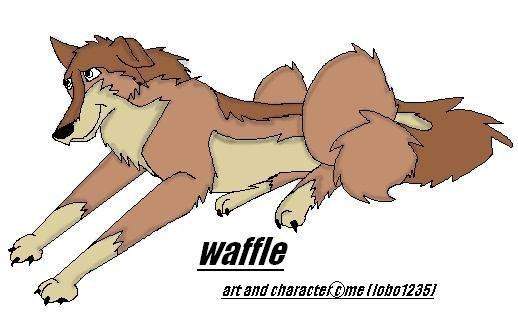 waffle