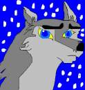 Aleu
