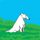 White Wolf