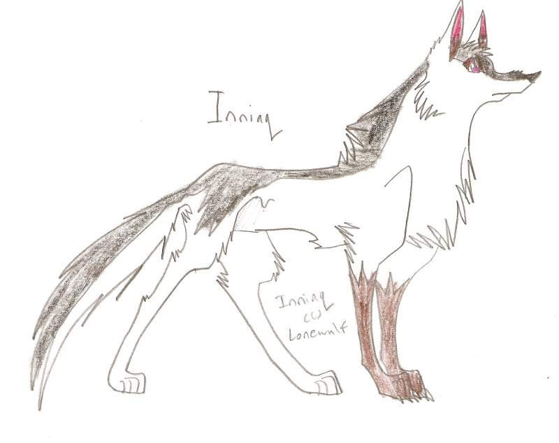 Inniaq character sheet