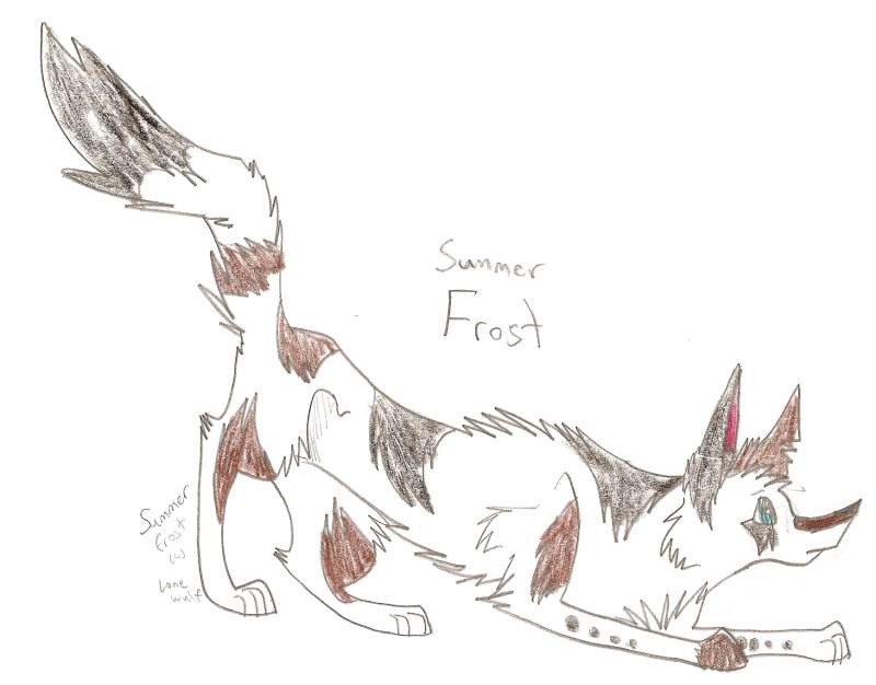 Summer Frost character sheet
