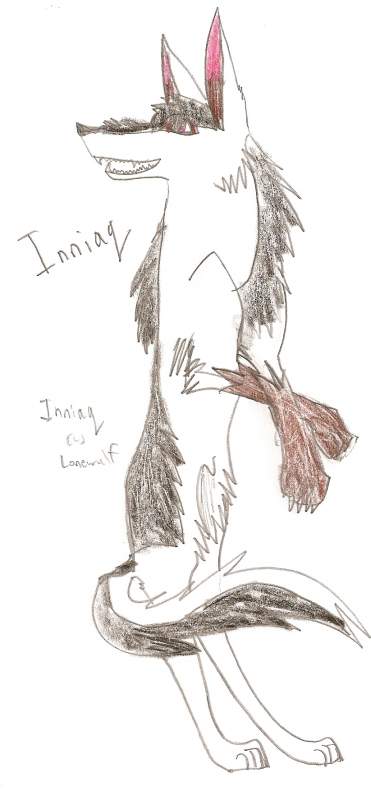 Inniaq again!