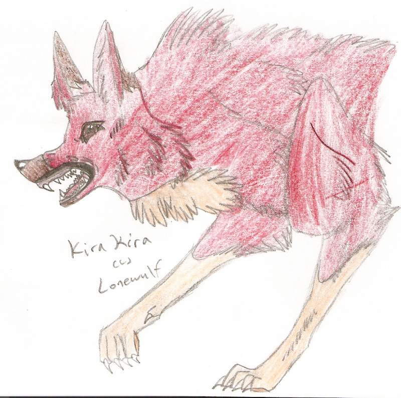 Fierce Kira Kira