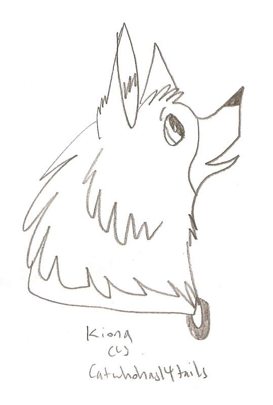 Kiona puppy headshot