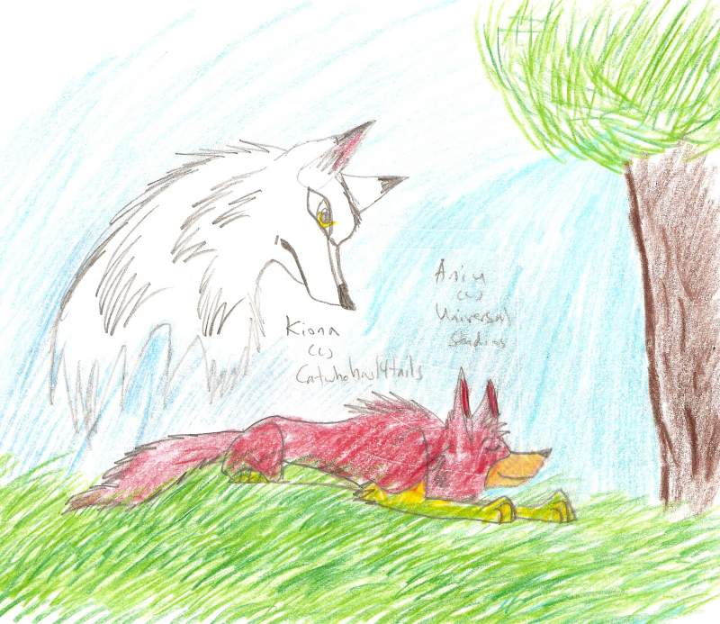 Aniu watching over Kiona