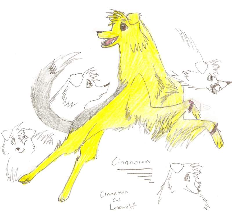 Cinnamon