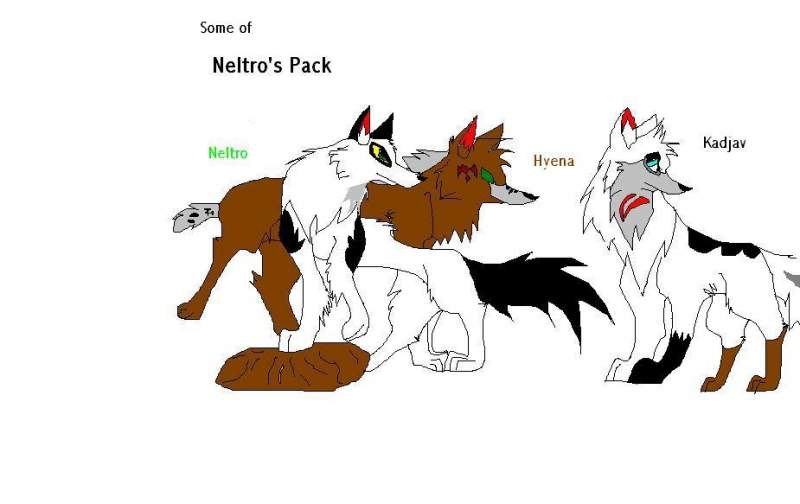 Some of Neltro's pack