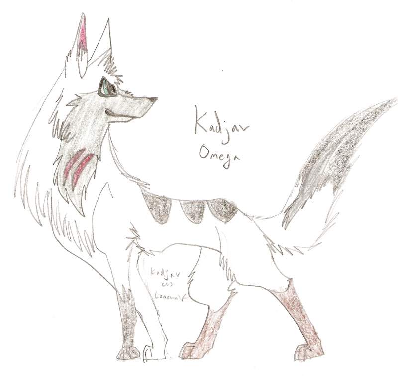 Kadjav (omega)