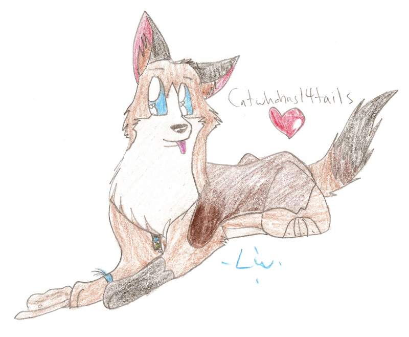 Catwhohas14tails!!!