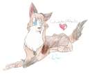 Catwhohas14tails!!!