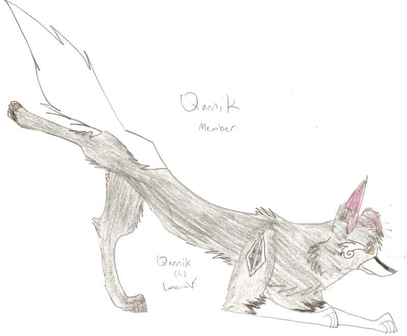 Qannik