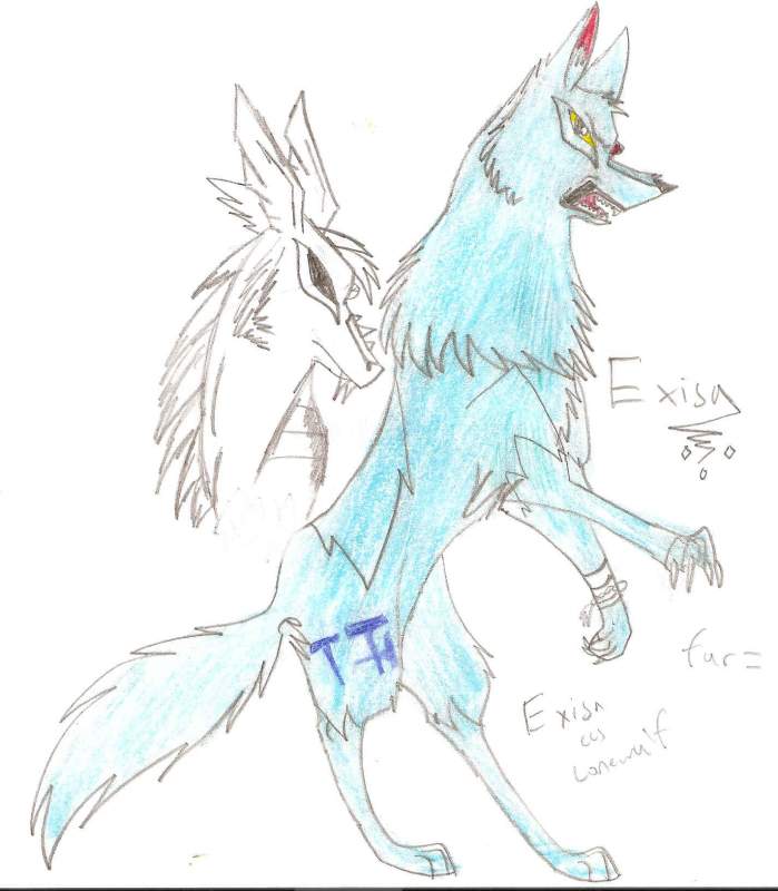 Exisa