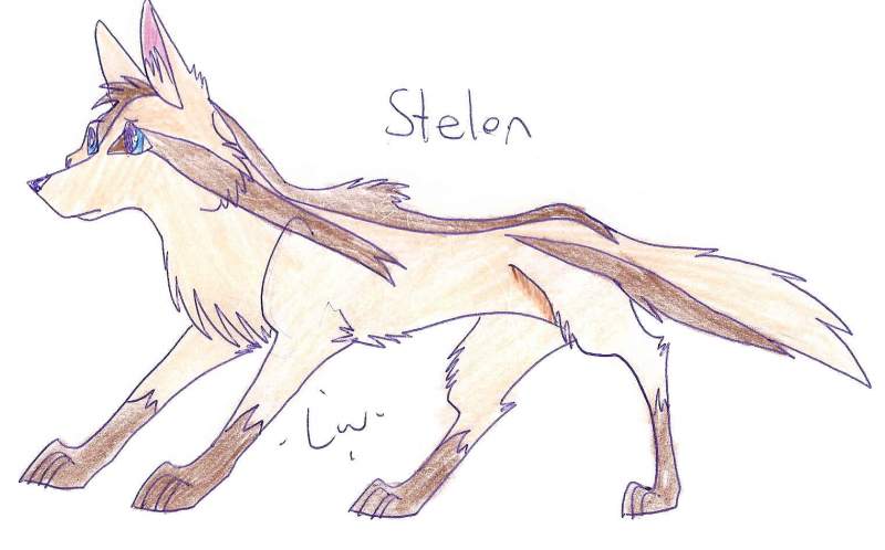 Stelon