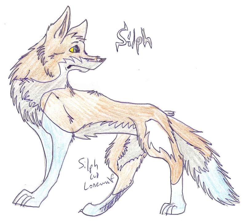 New wolf character