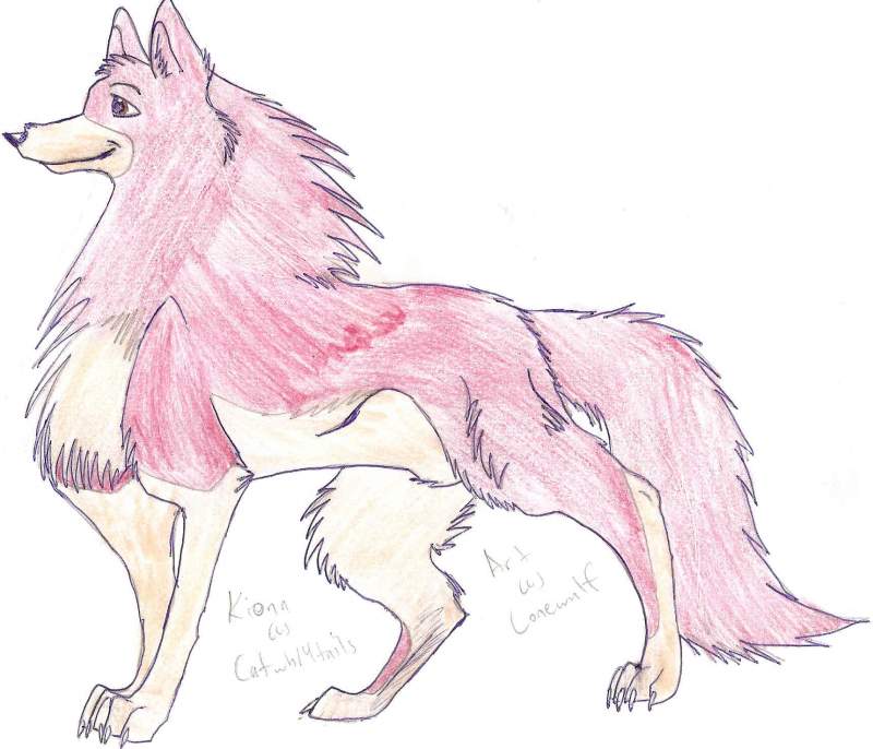 A Big Furry Kiona!!!