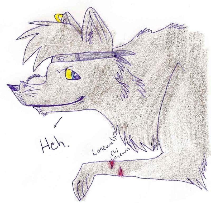Me without my collar!