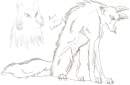The white wolf is ALWAYS watching you...
