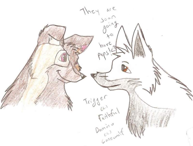 Domino and Trigger again