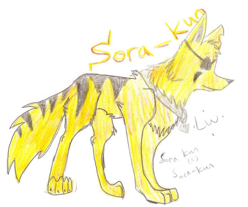 Sora-kun art trade