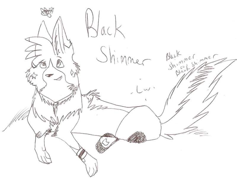 Black Shimmer