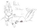 Black Shimmer
