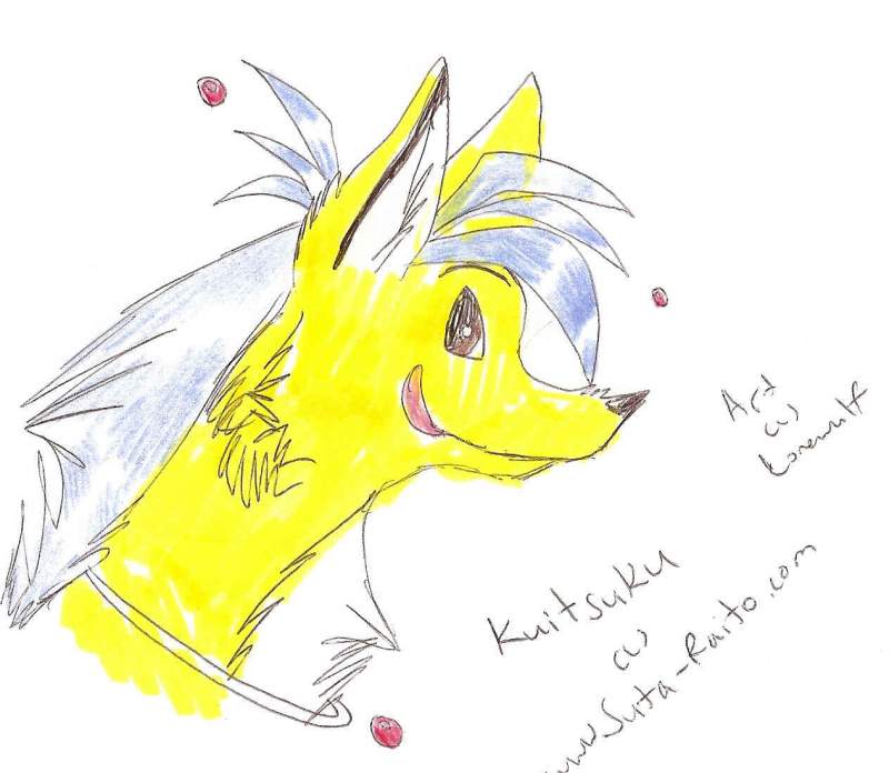 Kuitsuku