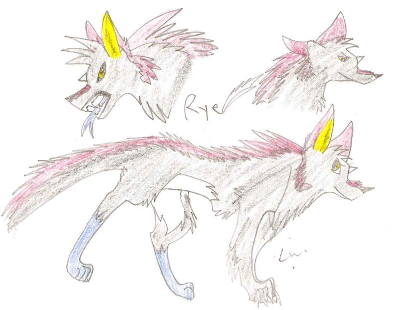 Rye reference sheet