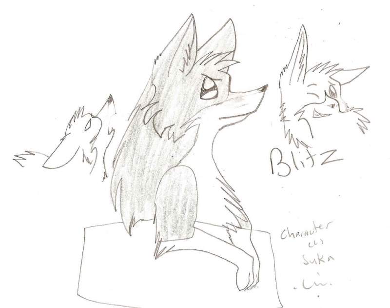 Blitz