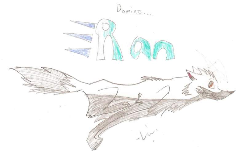 Domino <3 to run