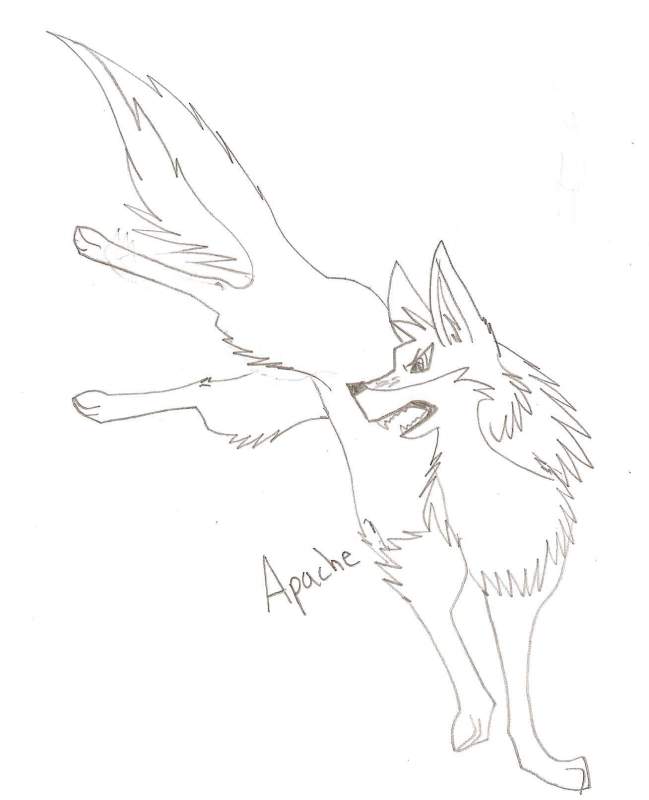 Apache