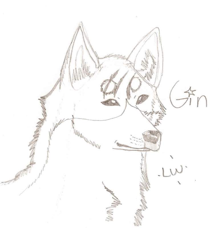 Realistic Gin