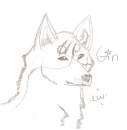 Realistic Gin