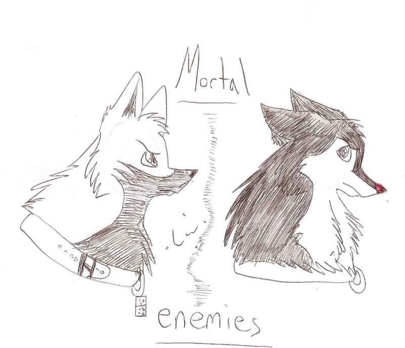 Mortal Enemies