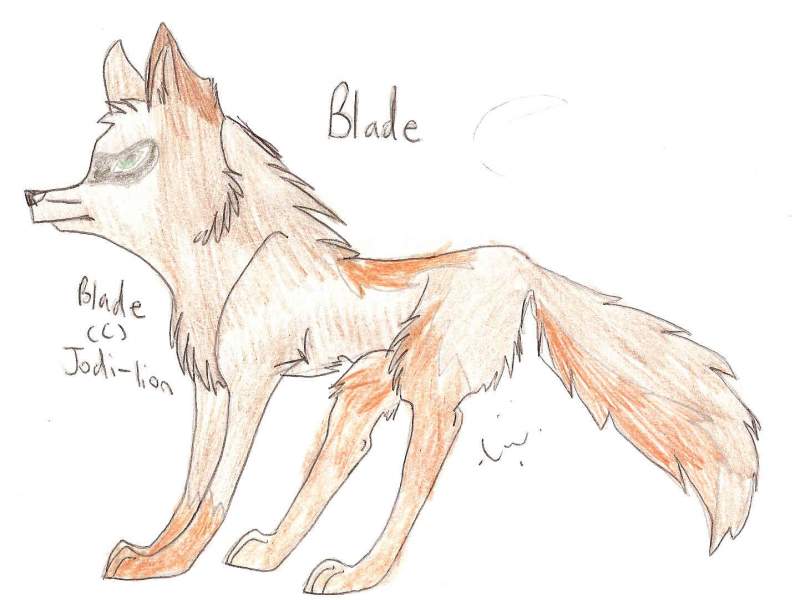 Blade