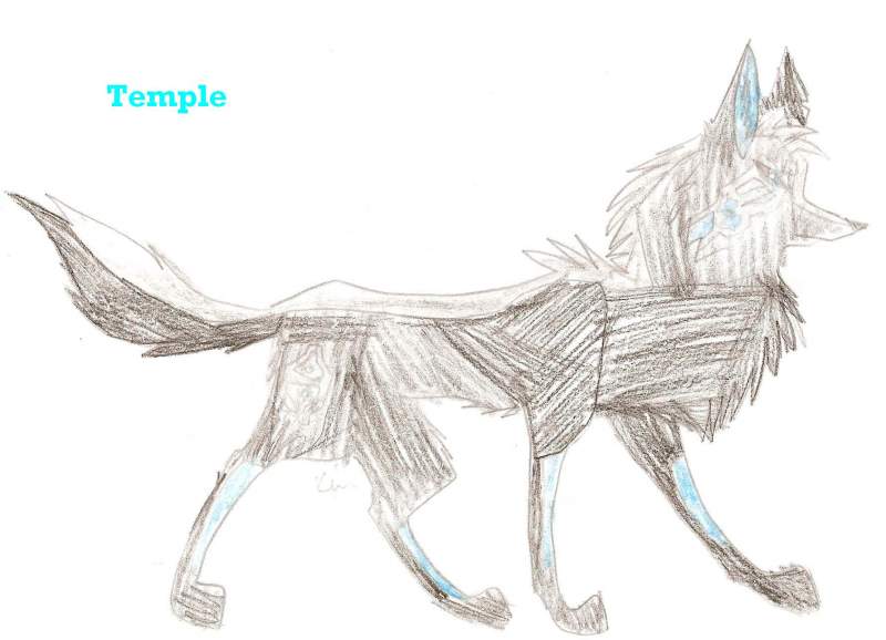 Temple *CONTEST ENTRY*
