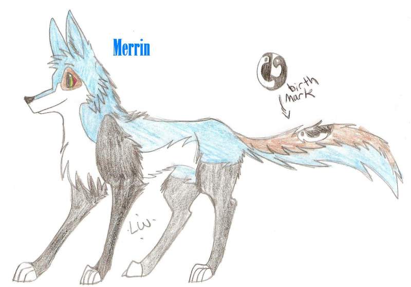 Merrin